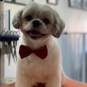 Meet your Posher, Jean